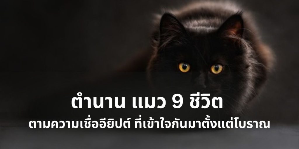 ตำนาน แมว 9 ชีวิต