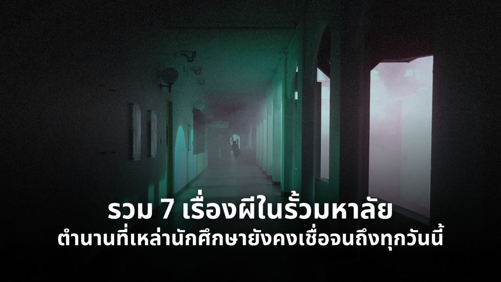 เรื่องมหาวิทยาลัย