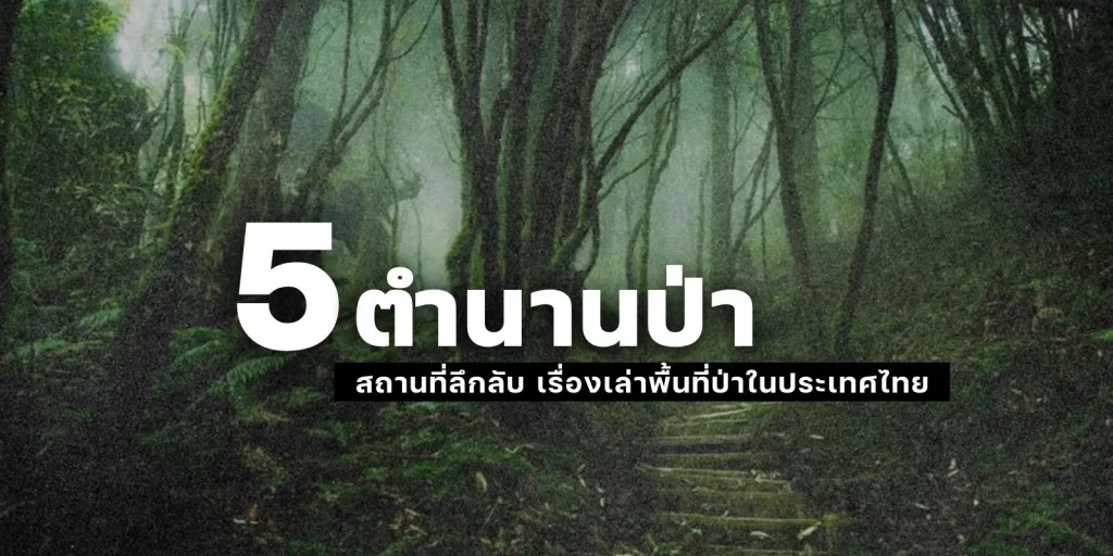 5 ตำนานป่า สถานที่ลึกลับ เรื่องเล่าพื้นที่ป่าในประเทศไทย