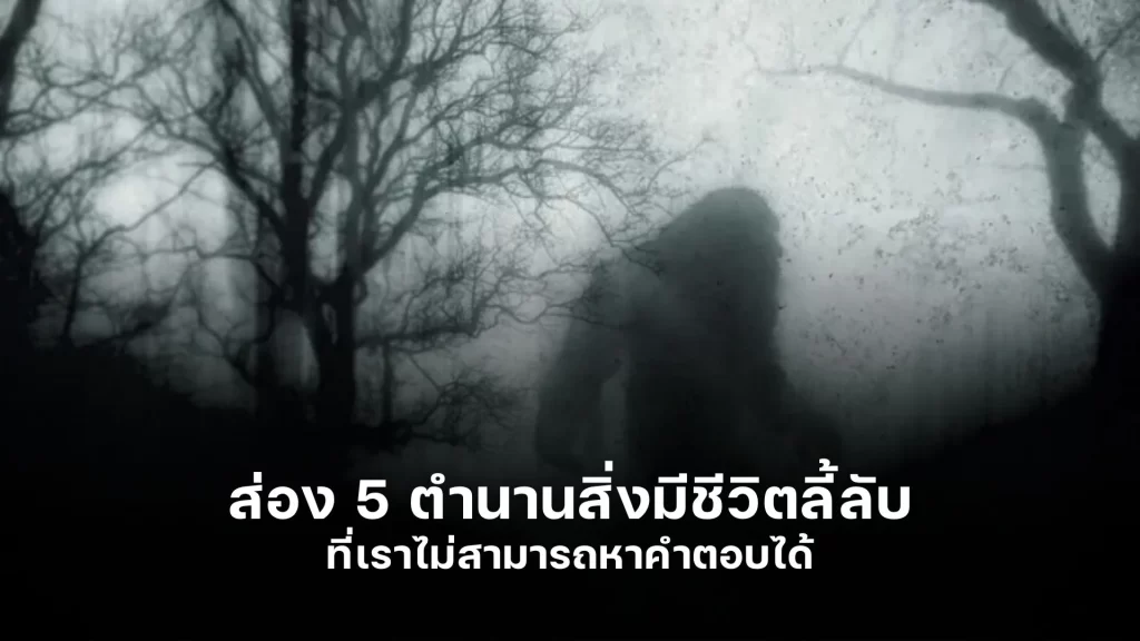 ส่อง 5 ตำนาน สิ่งมีชีวิตลี้ลับ ที่เราไม่สามารถหาคำตอบได้