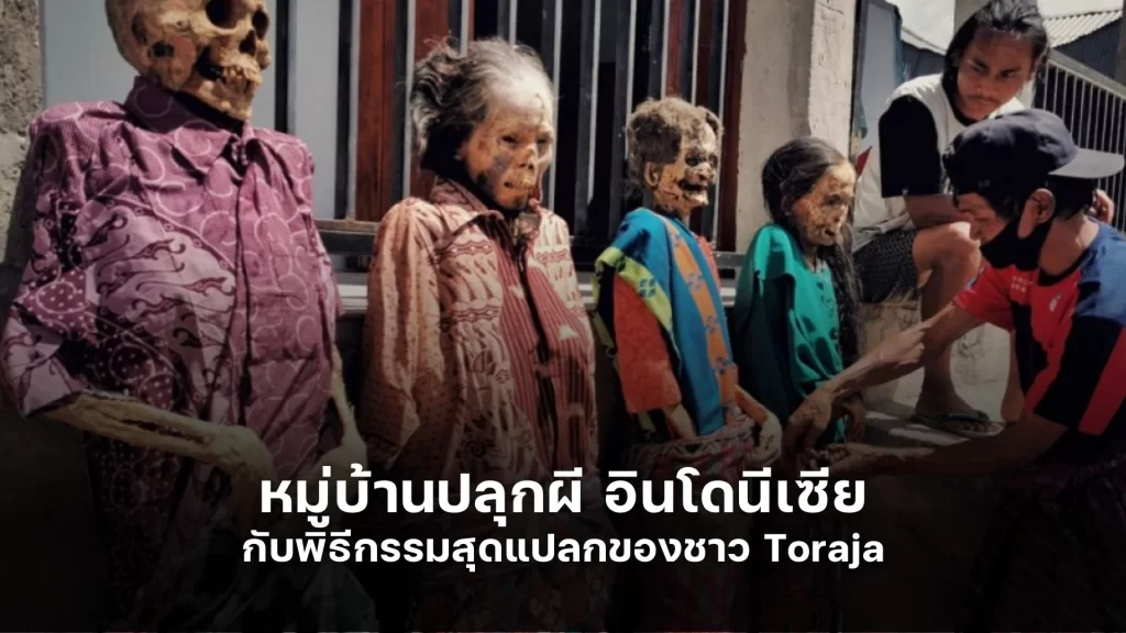 หมู่บ้านปลุกผี อินโดนีเซีย กับพิธีกรรมสุดแปลกของชาว Toraja
