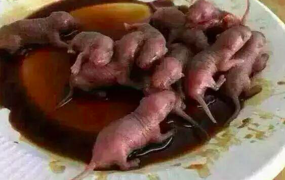 คำญี่ปุ่นต้องห้าม ที่มีคอนเทนต์การกินลูกหนูแรกเกิดสด ๆ 