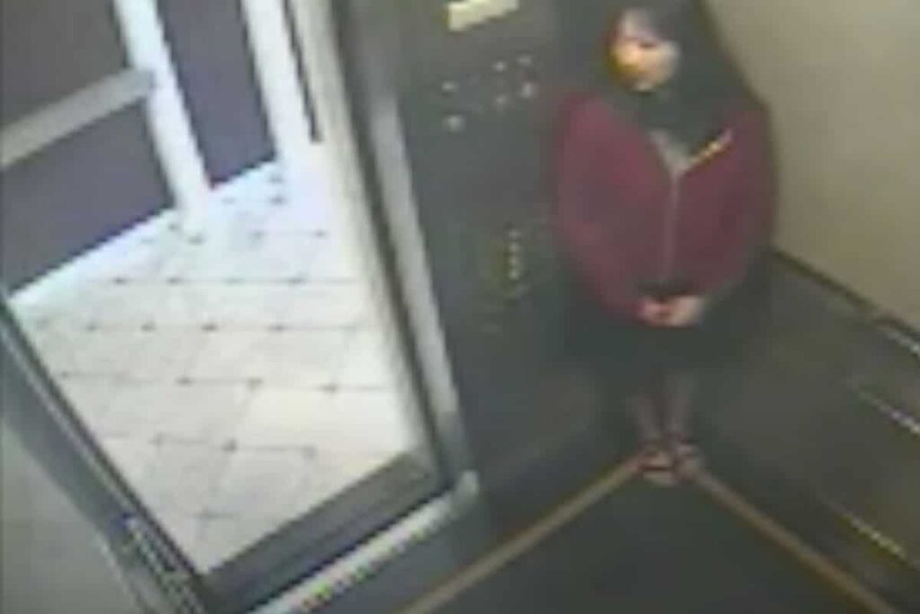 ข่าวเอลิซ่า แลม