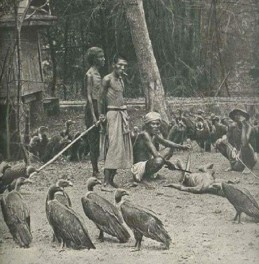 แร้งวัดสระเกศ