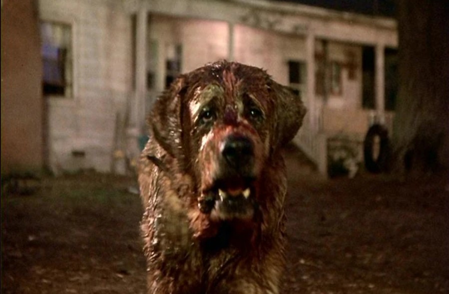 Cujo นิยาย Stephen King