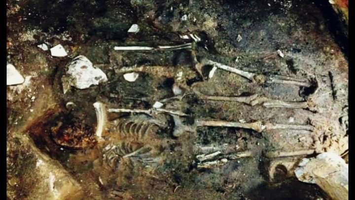 โครงกระดูกที่ถูกนำมาทำพิธี Hitobashira