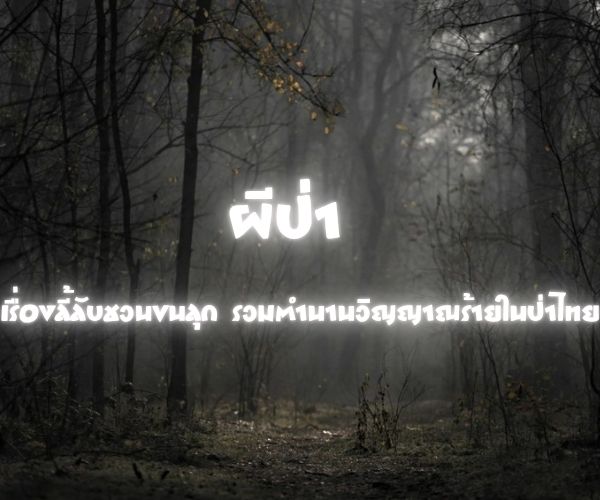 ผีป่า เรื่องลี้ลับ